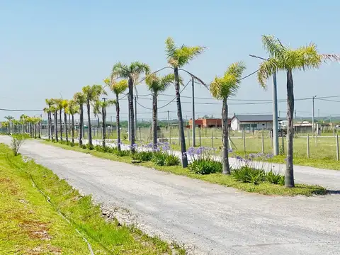 Terrenos en venta en el barrio El Lazo Capilla del Señor Lote 26
