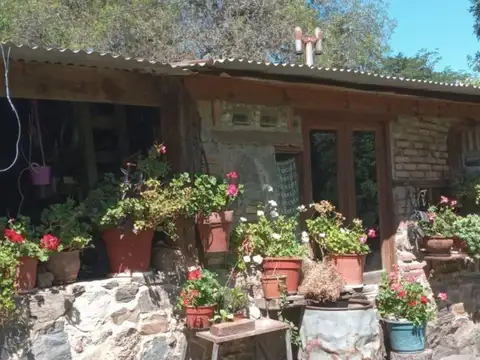 CAMPO EN VENTA – 120 HECTÁREAS