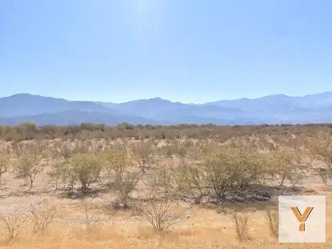 Campo en venta - 400 Hectáreas - Andalgalá