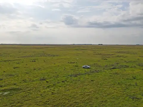Olavarria - 787 ha. Ganadero