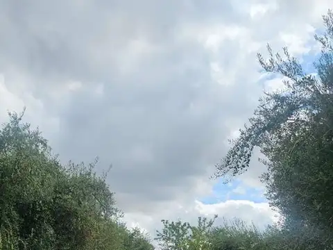 Monteagudo Bernardo 1300