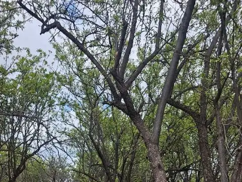 Terreno en Venta en Zona Industrial, Maipú