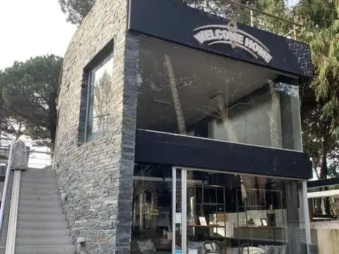 Avellana e/ Boyero y Venteveo