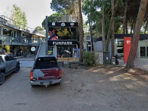 Avellana e/ Boyero y Venteveo
