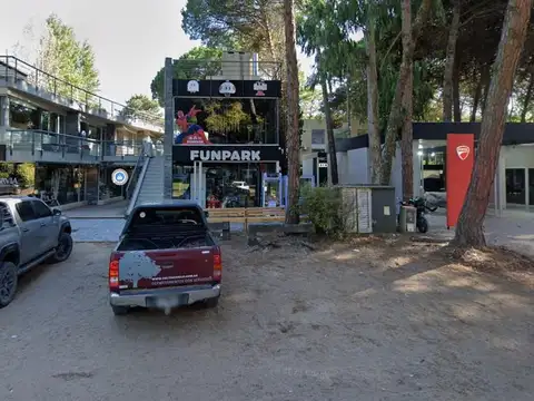 Avellana e/ Boyero y Venteveo