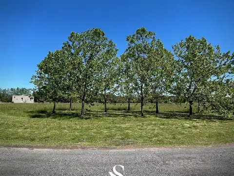 CHACRA EN VENTA, BARRIO CERRADO LA MACARENA, CAPILLA DEL SEÑOR