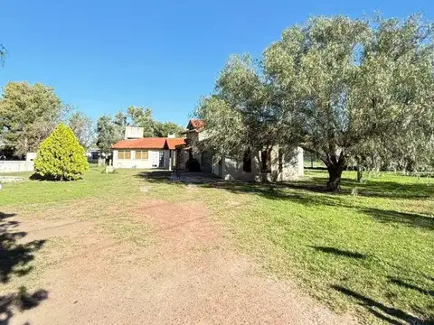 paula albarracin 640 100