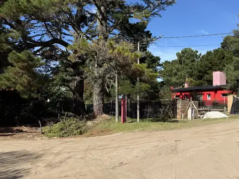 El Chajá y Golondrina