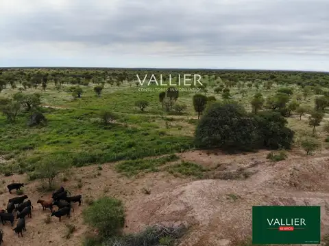 Terreno Campo  en Venta en Chepes, Rosario Vera Peñaloza, La Rioja