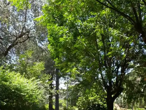 Los Caldenes esquina Santa Elena al 400
