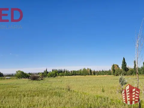 VENTA DE CHACRA EN CERVANTES, 18 HECTAREAS