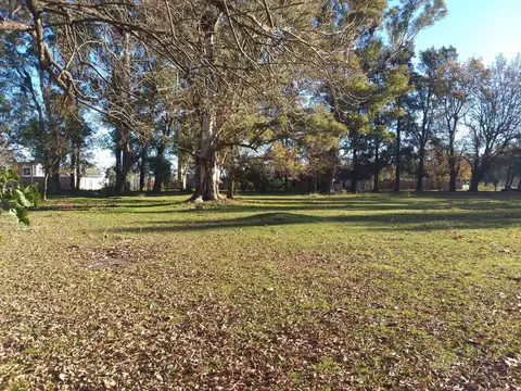 Quinta en Venta en Ezeiza, USD 180.000