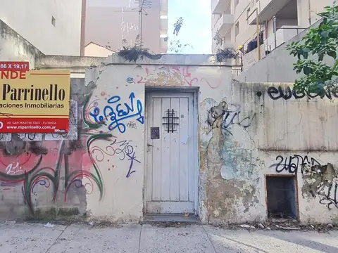 Adolfo Alsina al 1500