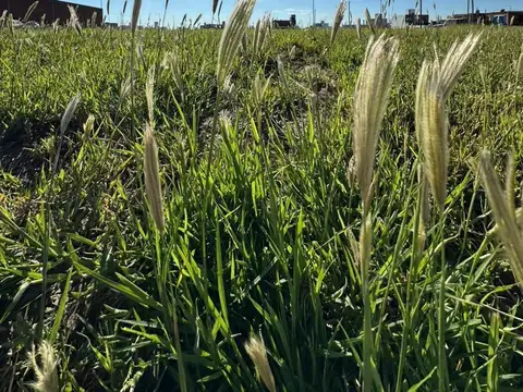 Lote en Venta - Campos de Manantiales