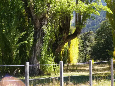 Terreno en venta Lago Meliquina San Martin de los Andes