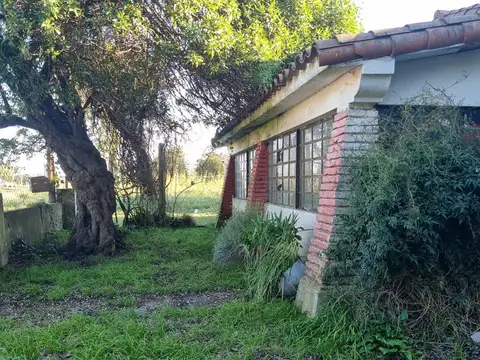 Calle 16 e/Calle 15 y calle 19 s/n 100