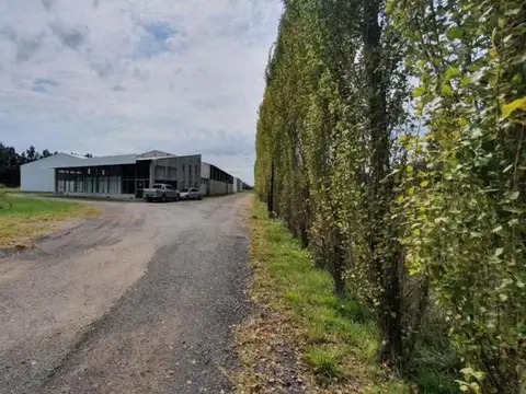 Galpon en Venta en Gowland, USD 1.250.000
