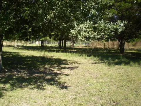 Quinta en Venta en Loma Verde, USD 975.000