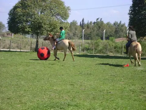 Quinta/Terreno en Venta - 42.335 m2 - Loma Verde - Escobar