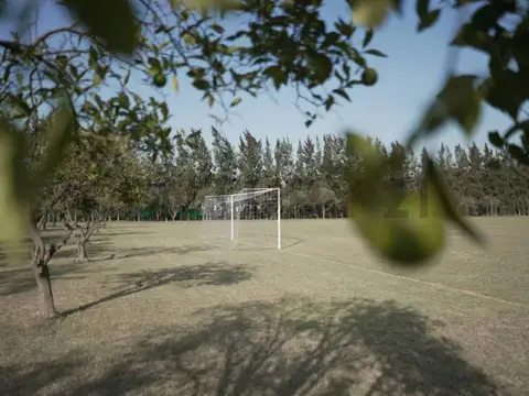 Terreno en Venta de 955,0 m2
