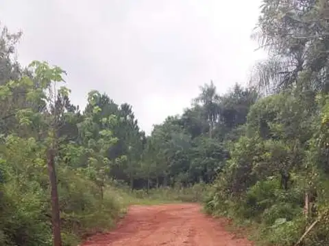 Terreno en Venta 12,28  mts Frente