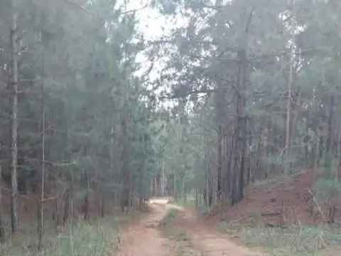 Terreno en Venta 40  mts Fondo