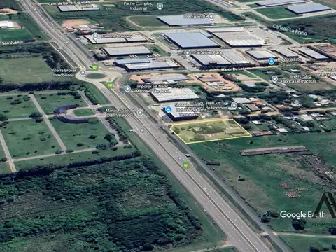 Ruta 101 100