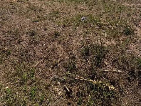 Terreno en Venta en Docta, USD 59.900