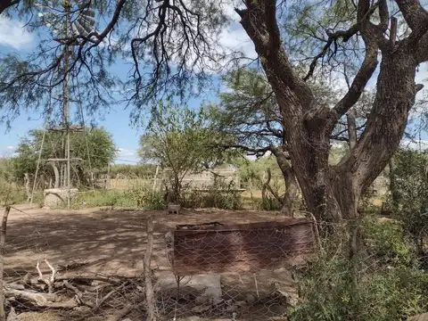 Campo en Venta de 300  ha