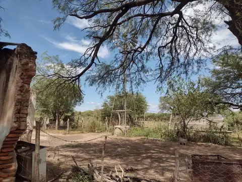 Campo en Venta Agrícola