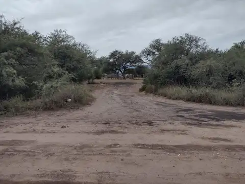 Campo en Venta Agrícola