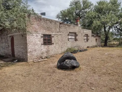 Campo en Venta de 300  ha