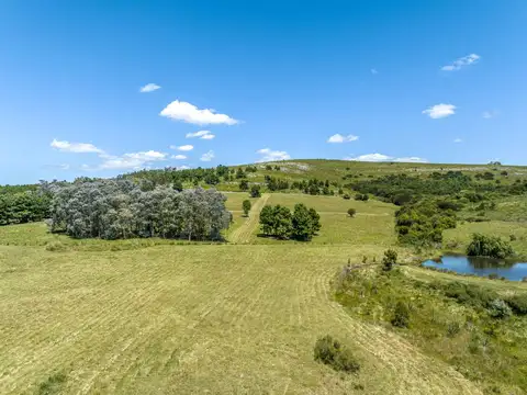 Chacra en venta de 3,4 has. en Laguna del Sauce 100