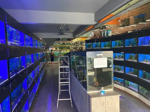 Local en Venta en Balvanera, USD 329.000