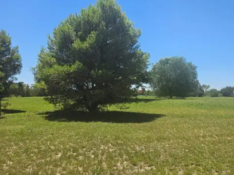 Lote/Terreno 1233m2 en venta en Medal Country Club, Pilar