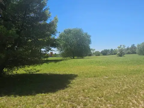Lote/Terreno 1233m2 en venta en Medal Country Club, Pilar