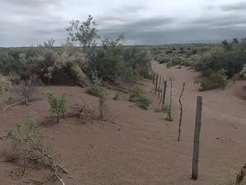 NUEVA CALIFORNIA TALAVERA Y ONETO