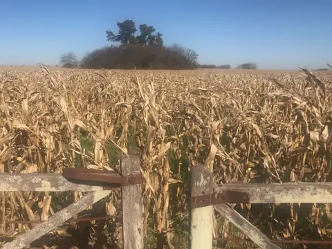 CAMPO de 27,2 hectareas en La Luisa - cerca Capital Sarmiento y Arrecifes