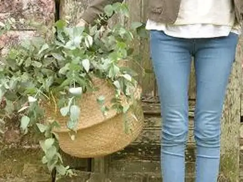 Terreno en Venta en Bella Vista, USD 108.000