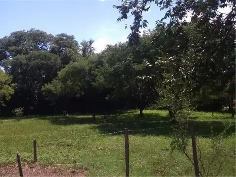 1700 metros 2 de arboleda a una cuadra de la plaza central!