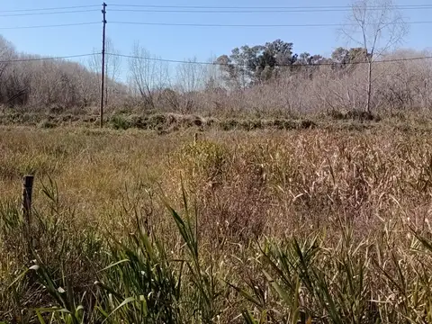 Terreno en Venta 40  mts Frente