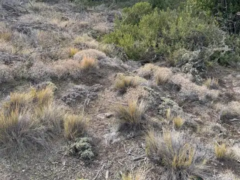 Rucahue