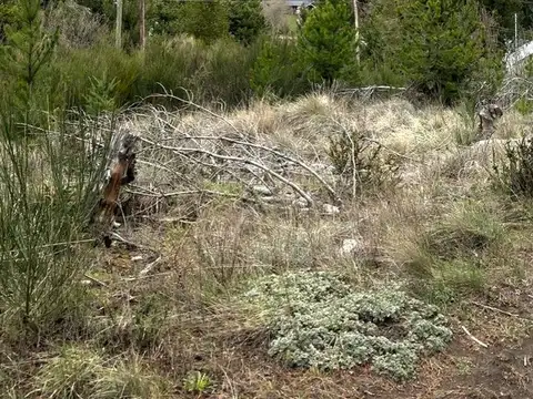 Terreno en Venta en San Martin De Los Andes, USD 100.000