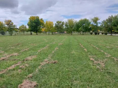 Terrenos en Venta en Pilar Manzanares Inversion