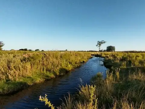 Venta de campo 22 Ha. en Ruta 11 paraje El Talita