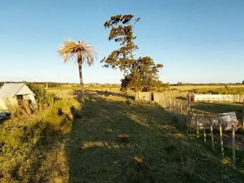 Camino al Talita entre Ruta 11 y 7