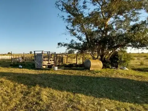 Venta de campo 22 Ha. en Ruta 11 paraje El Talita