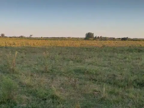Venta de campo 22 Ha. en Ruta 11 paraje El Talita