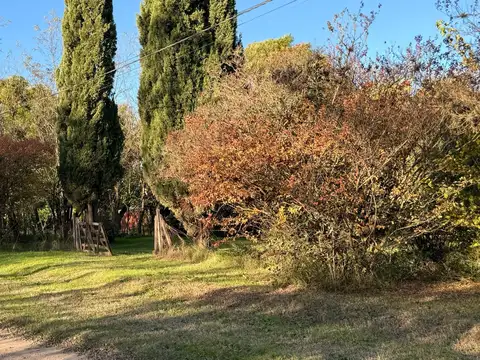 Si soñás con vivir en el campo, este puede ser tu lugar! Zapiola
