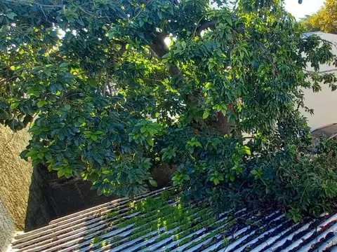 Terreno en Venta en Villa Ballester, USD 60.000